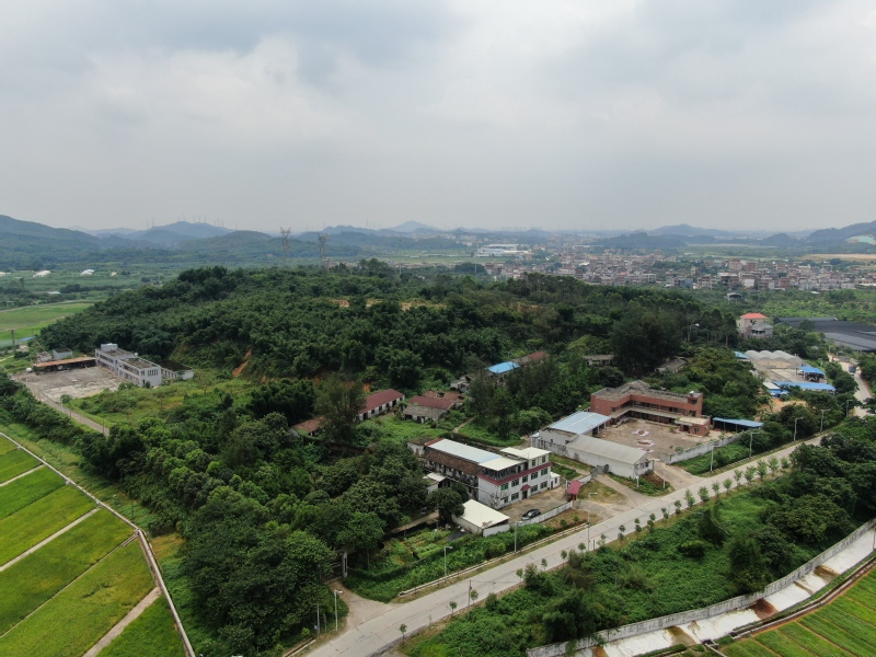 華南農(nóng)業(yè).jpg