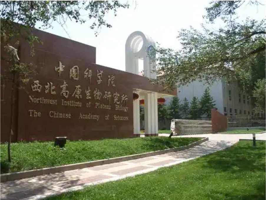 西北.jpg